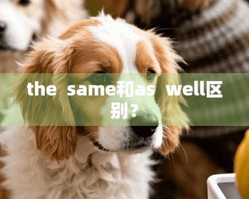 the  same和as  well区别？