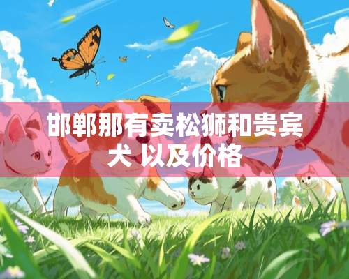 邯郸那有卖松狮和贵宾犬 以及价格