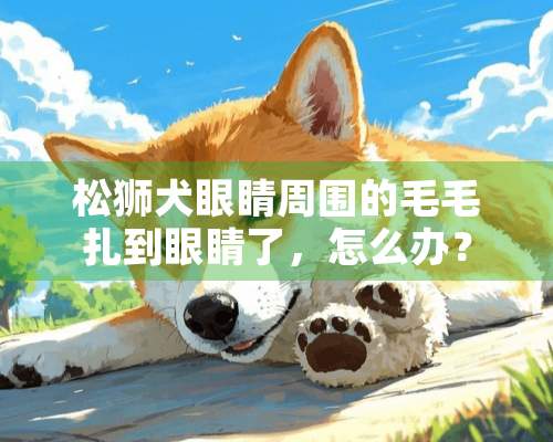 松狮犬眼睛周围的毛毛扎到眼睛了，怎么办？