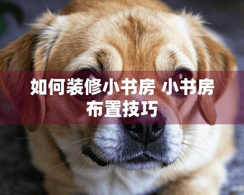 如何装修小书房 小书房布置技巧