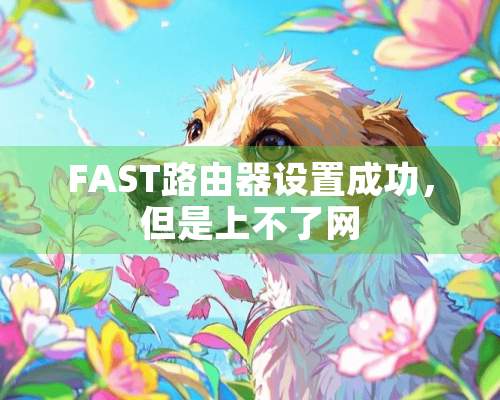 FAST路由器设置成功，但是上不了网