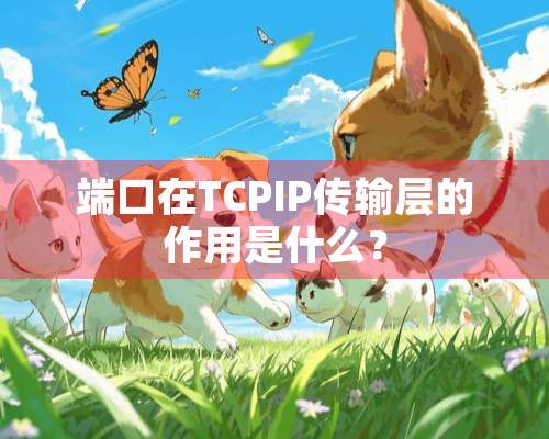 端口在TCPIP传输层的作用是什么？