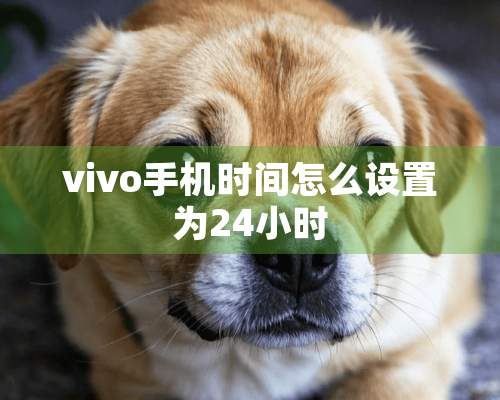 vivo手机时间怎么设置为24小时