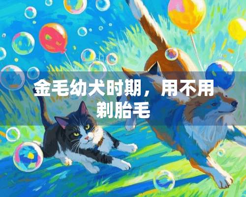 金毛幼犬时期，用不用剃胎毛