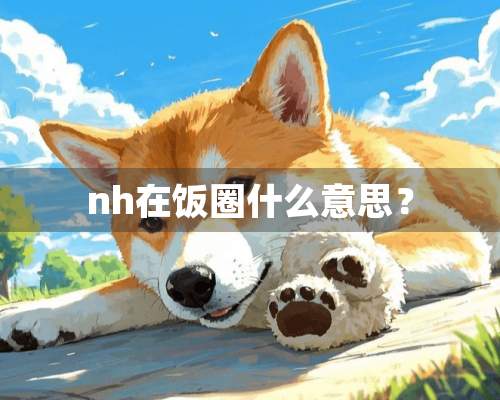 nh在饭圈什么意思？