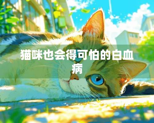 猫咪也会得可怕的白血病