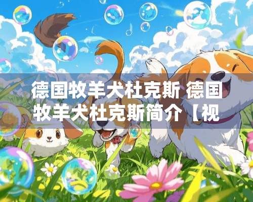 德国牧羊犬杜克斯 德国牧羊犬杜克斯简介【视频】