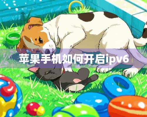 苹果手机如何开启ipv6