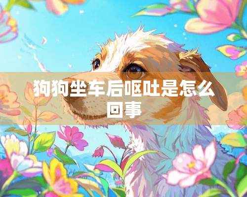 狗狗坐车后呕吐是怎么回事