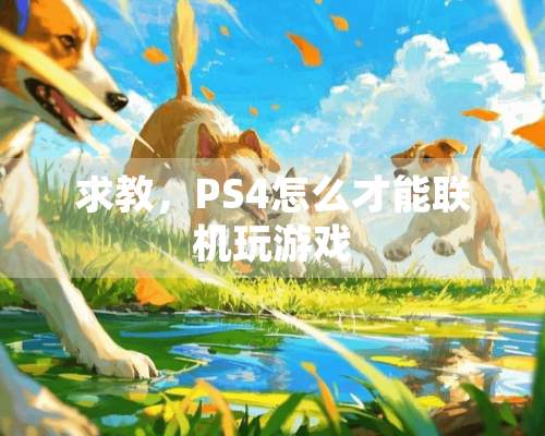 求教，PS4怎么才能联机玩游戏