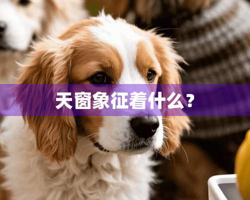 天窗象征着什么？