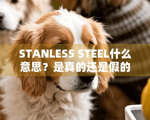 STANLESS STEEL什么意思？是真的还是假的？