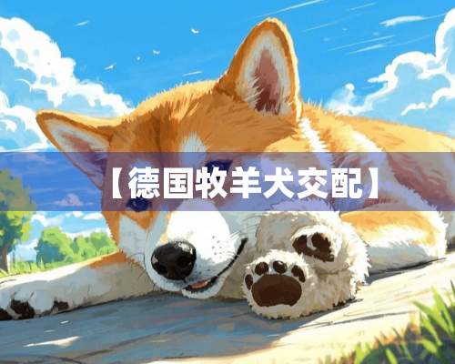 【德国牧羊犬交配】