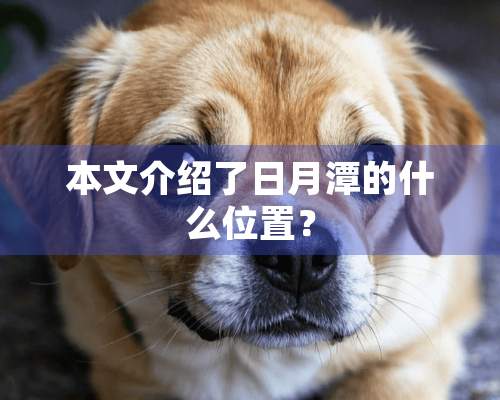 本文介绍了日月潭的什么位置？