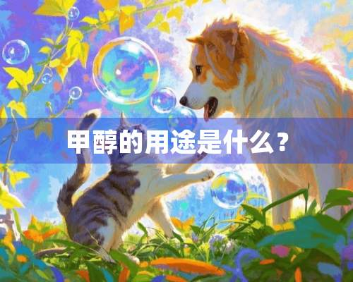 甲醇的用途是什么？