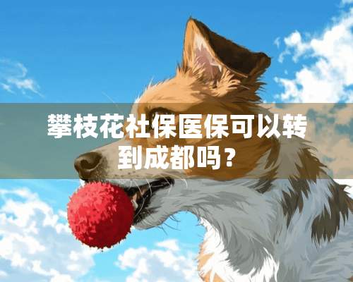 攀枝花社保医保可以转到成都吗？