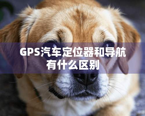 GPS汽车***和导航有什么区别