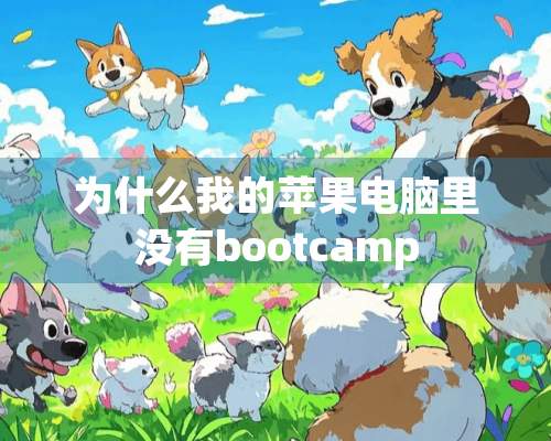 为什么我的苹果电脑里没有bootcamp