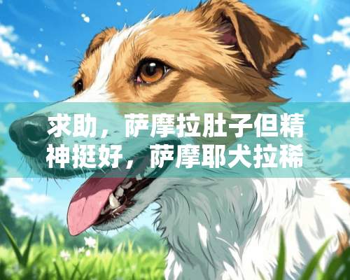 求助，萨摩拉肚子但精神挺好，萨摩耶犬拉稀但精神很好 怎么回事怎么办