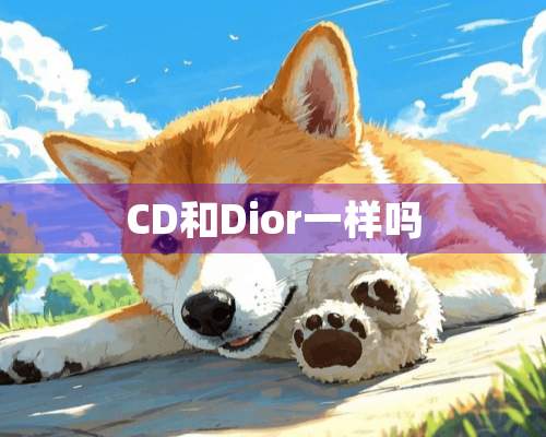 CD和Dior一样吗