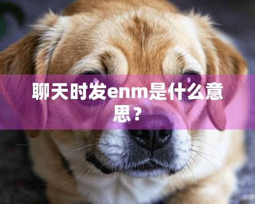 聊天时发enm是什么意思？