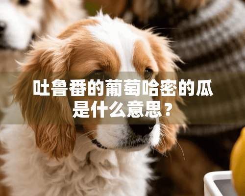 吐鲁番的葡萄哈密的瓜是什么意思？