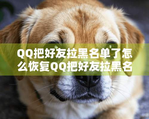 QQ把好友拉黑名单了怎么恢复QQ把好友拉黑名单了如何恢复