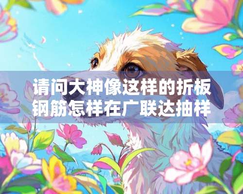 请问大神像这样的折板钢筋怎样在广联达抽样中布置？