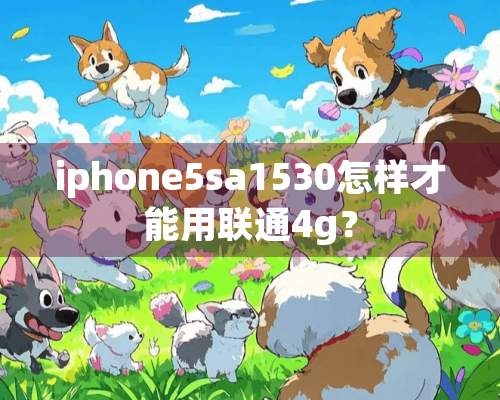 iphone5sa1530怎样才能用联通4g？