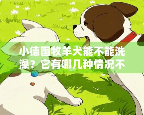 小德国牧羊犬能不能洗澡？它有哪几种情况不能洗澡？