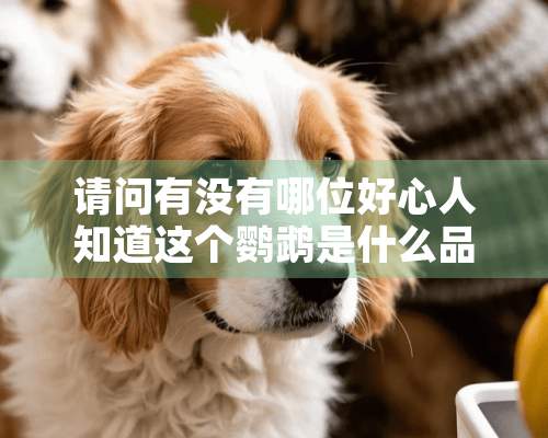 请问有没有哪位好心人知道这个鹦鹉是什么品种的？谢谢