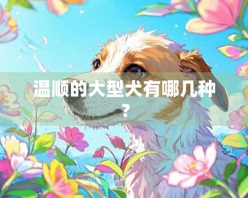 温顺的大型犬有哪几种？