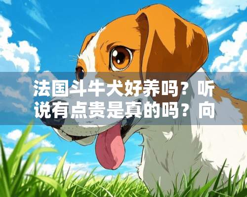 法国斗牛犬好养吗？听说有点贵是真的吗？向往优宠怎么样？知道的朋友麻烦告知下