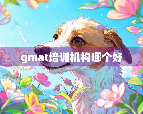 gmat培训机构哪个好