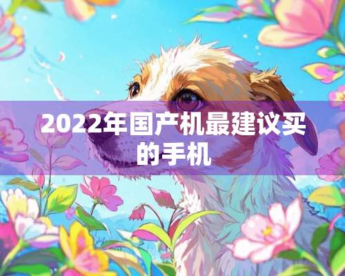 2022年国产机最建议买的手机