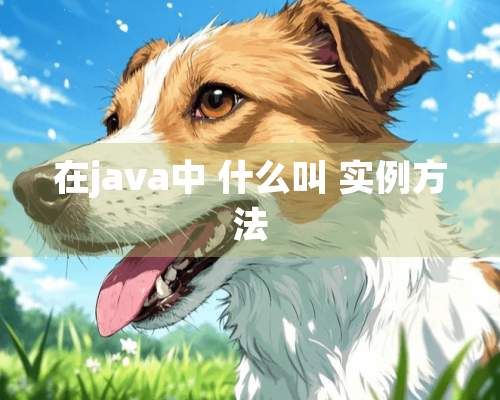 在java中 什么叫 实例方法