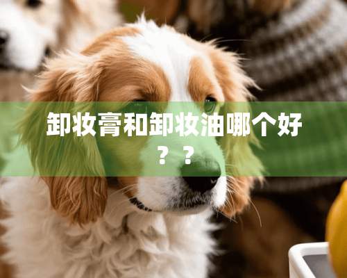 卸妆膏和卸妆油哪个好？？