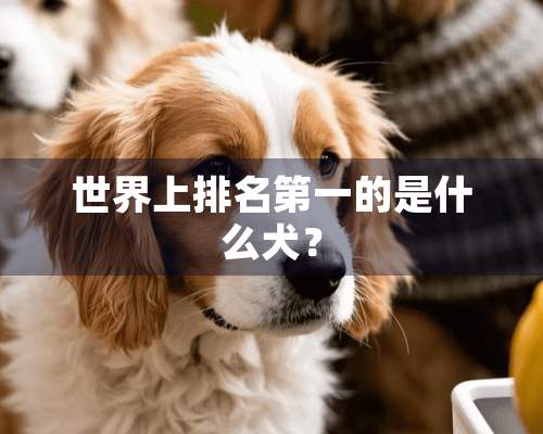 世界上排名第一的是什么犬？