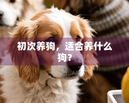 初次养狗，适合养什么狗？