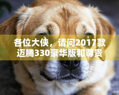 各位大侠，请问2017款迈腾330豪华版和尊贵版区别在哪