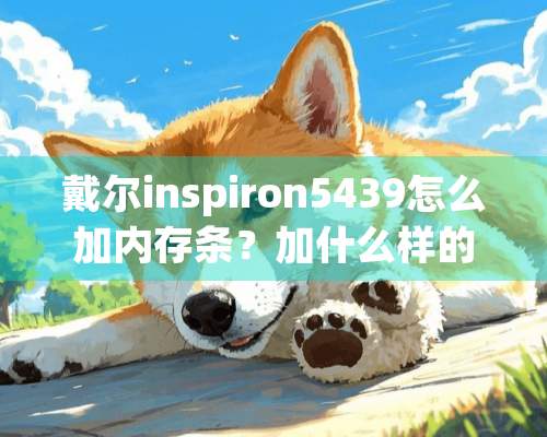 戴尔inspiron5439怎么加内存条？加什么样的内存条？