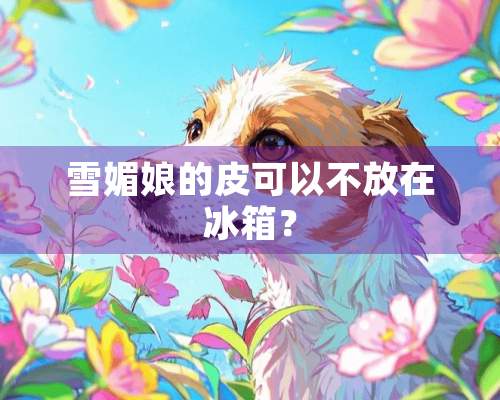 雪媚娘的皮可以不放在冰箱？