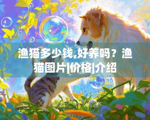 渔猫多少钱,好养吗？渔猫图片|价格|介绍