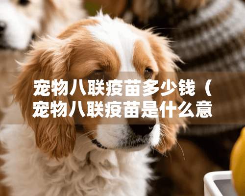 宠物八联疫苗多少钱（宠物八联疫苗是什么意思）