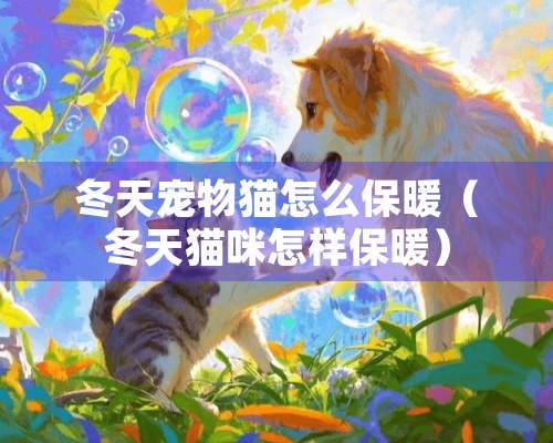 冬天宠物猫怎么保暖（冬天猫咪怎样保暖）