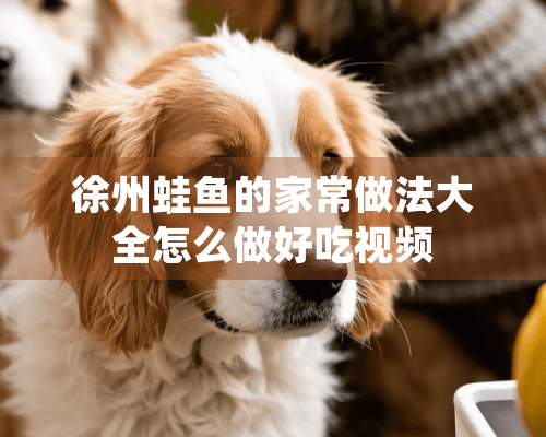 徐州蛙鱼的家常做法大全怎么做好吃视频