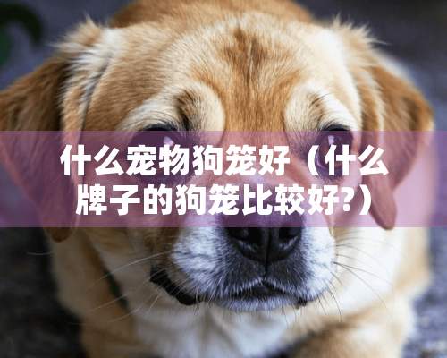 什么宠物狗笼好（什么牌子的狗笼比较好?）