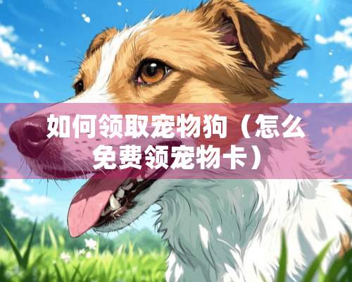 如何领取宠物狗（怎么免费领宠物卡）