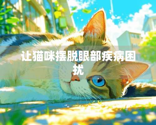 让猫咪摆脱眼部疾病困扰