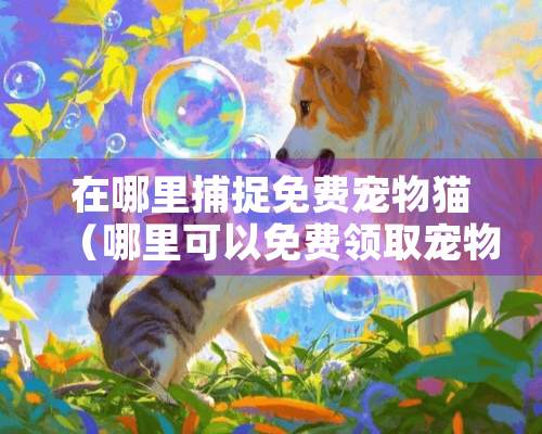 在哪里捕捉免费宠物猫（哪里可以免费领取宠物猫）